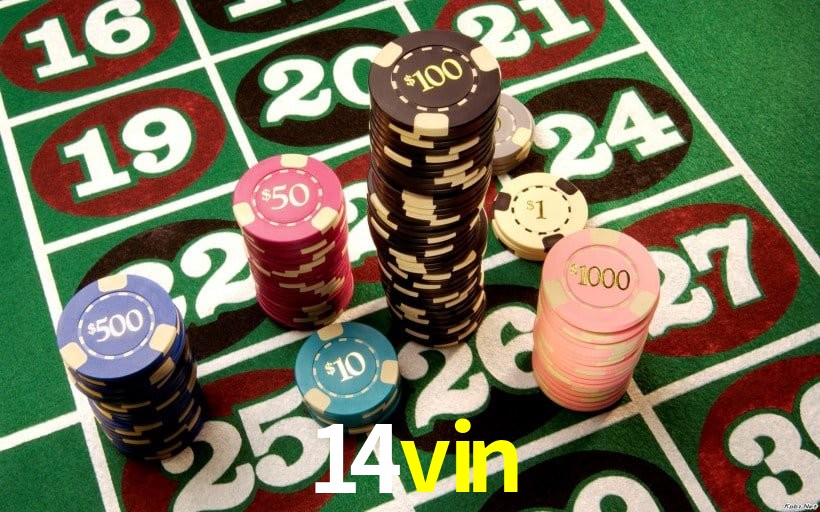 Experiência VIP 14vin