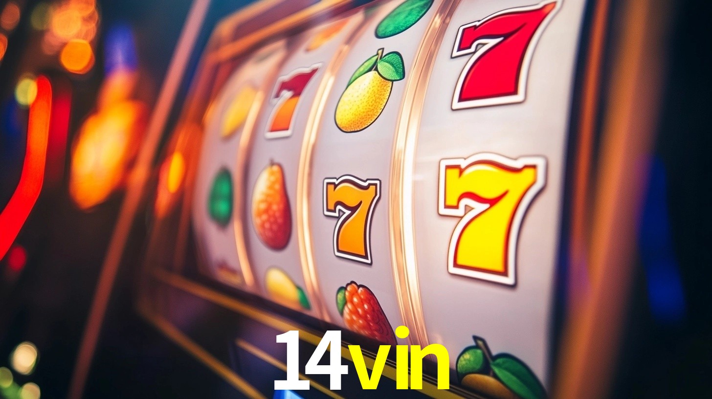 Programa VIP 14vin