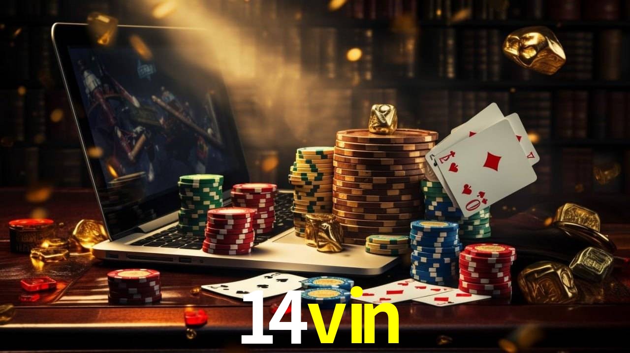 Sports Statistics 14vin